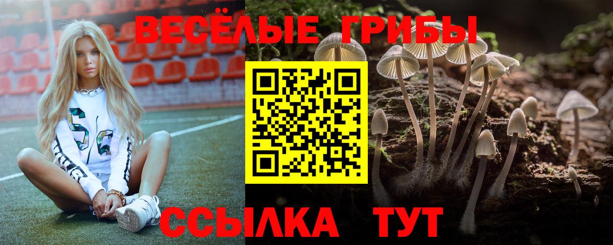 Псилоцибиновые грибы прущие грибы Брянск